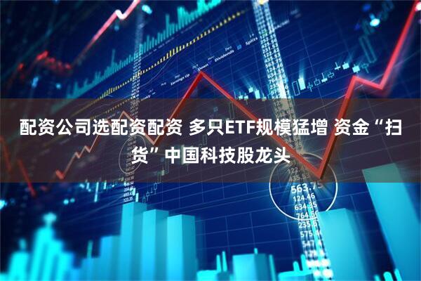 配资公司选配资配资 多只ETF规模猛增 资金“扫货”中国科技股龙头