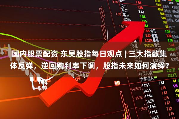 国内股票配资 东吴股指每日观点 | 三大指数集体反弹，逆回购利率下调，股指未来如何演绎？